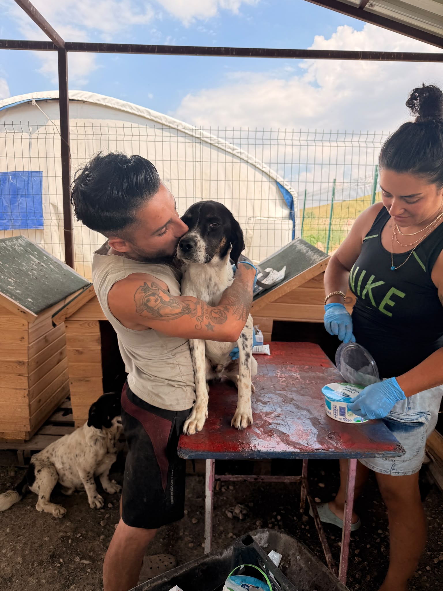 Rettung aus dem Tierheim Tokat